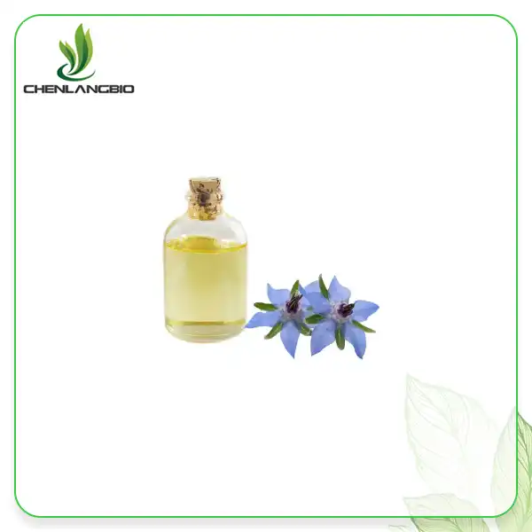 Borage Oil Powder